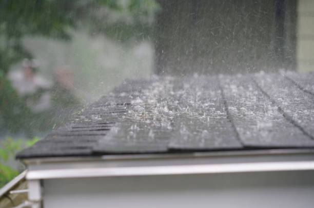 Obion, TN Roofing Services Company